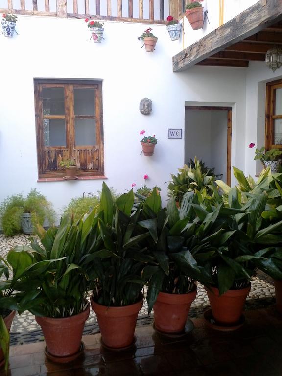 Cuevas Pedro Antonio De Alarcon Apartment Guadix Luaran gambar
